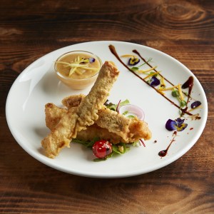 tempuralt_harcsafile-01